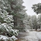 Paisaje en tierras de Urbión a 1.800 metros en la mañana de este sábado.
