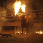 Toro Jubilo en el recinto vallado de Medinaceli.