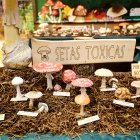 San Leonardo volvió a presumir de setas y conocimiento en sus XXII Jornadas Micológicas.