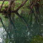 La Fuentona en Soria