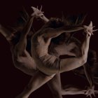 Detalle del cartel del festival 'Aquí se danza' de Soria.