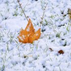 La primera nevada de la campaña llega a Soria capital con precipitaciones escasas pero más intensas en la zona norte.