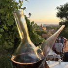 El vino  casero será el protagonista de la jornada.