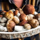 Boletus silvestres recogidos en la sierra de Soria, el hongo que se incorpora al queso curado de leche cruda elaborado por Quesoncala.