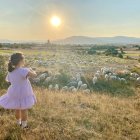 '¡Rebaño y pueblo a la vista1'. El Cubo de la Sierra (Almarza).