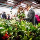 Los visitantes compraron su rama o cesta de acebo