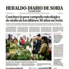 Portada de Heraldo-Diario de Soria del 7 de diciembre de 2025.