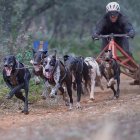 Gran actuación soriana en el Nacional de mushing.