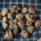 La trufa recién recogida