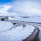 Complicaciones en la carretera y paseos pisando nieve