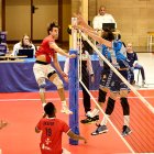 El Grupo Herce Soria vencía 3-0 a Cisneros en la Liga y los tinerfeños serán sus primeros rivales en la Copa del Rey.