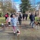 Un momento del desfile en la Arboleda de Almazán.