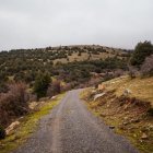 Pista forestal.