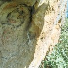 Fuentetoba, en la Peña de Los Plantíos