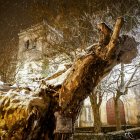 La nieve cubre Soria y el parque del Castillo