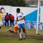 Las lluvias de estos días y la nieve han castigado al césped de La Arboleda.