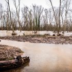 Terrenos anegados por el río Duero en Soria a la altura de San Esteban de Gormaz.