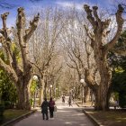El parque de la Dehesa de Soria en marzo del pasado año.