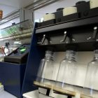 Trabajando en un laboratorio.