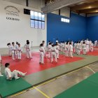 El Provincia del Judo se celebró en el polideportivo de Las Camaretas.