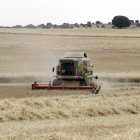 Una cosechadora en un campo de Soria.
