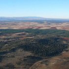 El Sabinar de Calatañazor se extiende sobre una meseta calcárea a unos 1.000 metros de altitud, formando uno de los bosques de sabina mejor conservados del mundo