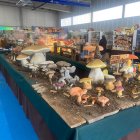 Exposición reciente de Montes de Soria.