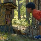 Las criaturas fantásticas del Bosque Mágico habitan pequeñas construcciones escondidas entre troncos, piedras y musgo.