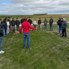 Asaja prueba en Soria una app para predecir el rendimiento del trigo.