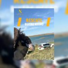 La Guardia Civil y Medio Ambiente rescatan en Soria a un buitre negro herido.
