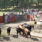 Los novillos de San Juan en Cañada Honda.