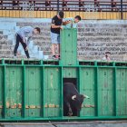 Puntualidad y trece toros en el coso de San Benito.