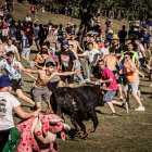 Espectacular ambiente en la pradera