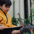 La Ruta de las Icnitas de Soria permite a los niños descubrir huellas fósiles de dinosaurios y convertirse en pequeños paleontólogos por un día.