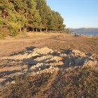 Daños en el terreno junto al embalse de la Cuerda del Pozo que denuncia Asden.