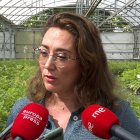 María González Corral atiende a los medios tras visitar el Vivero Forestal Central.