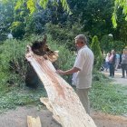 Un hombre observa la parte desgajada y desprendida del árbol en el parque de La Dehesa.