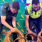 Dos agentes de la Guardia Civil con parte del cable.