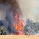 Incendio este domingo en Cubo de la Solana.