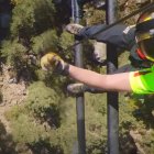 El helicóptero de rescate iza al herido.