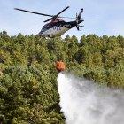 Integrantes de la ELIF de Garray realizan una demostración de su labor en la lucha contra incendios durante la Feria Cabforest de Carejas del Pinar.