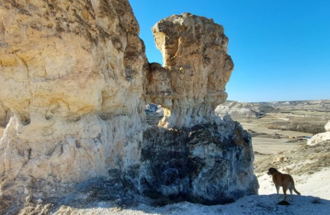 Espectaculares formaciones calcáreas en 'la Capadocia soriana', junto al pueblo de Aguaviva de la Vega.