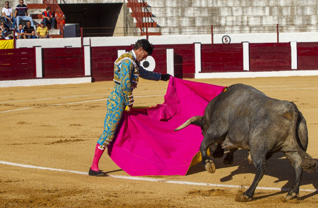 Corrida de toros en Almazán. MARIO TEJEDOR (16)