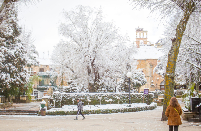 La nieve da paso a una mañana de fotos invernales. MARIO TEJEDOR (24)