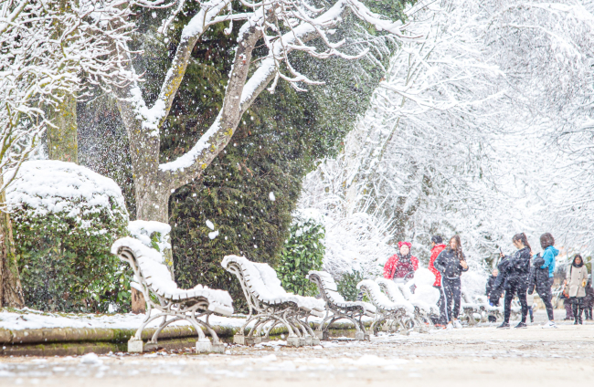 La nieve da paso a una mañana de fotos invernales. MARIO TEJEDOR (27)