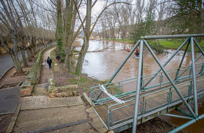 Complicaciones por la meteorología en la zona del río Duero a su paso por la capital. MARIO TEJEDOR (6)