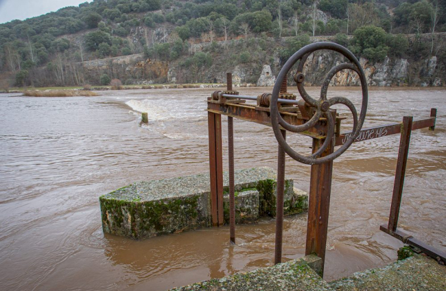 Complicaciones por la meteorología en la zona del río Duero a su paso por la capital. MARIO TEJEDOR (16)
