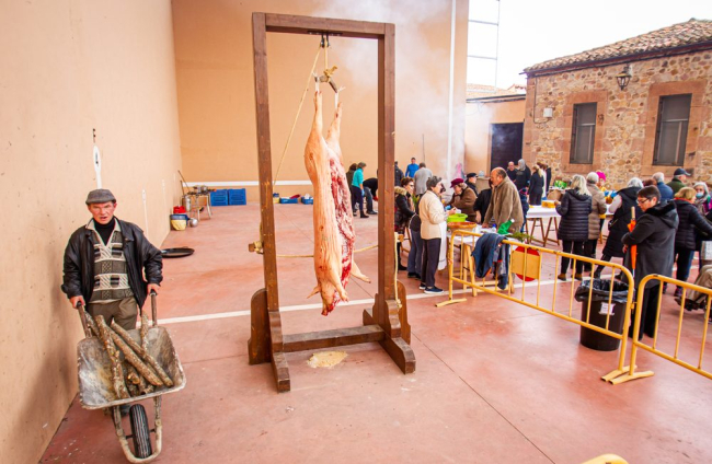 La matanza del cerdo en Garray. MARIO TEJEDOR (4)