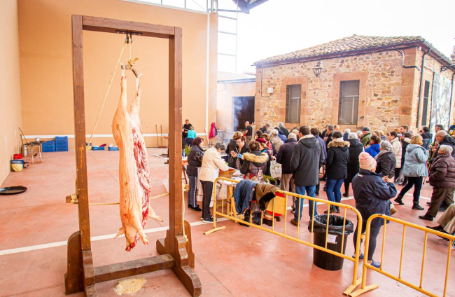 La matanza del cerdo en Garray. MARIO TEJEDOR (14)