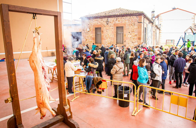 La matanza del cerdo en Garray. MARIO TEJEDOR (19)